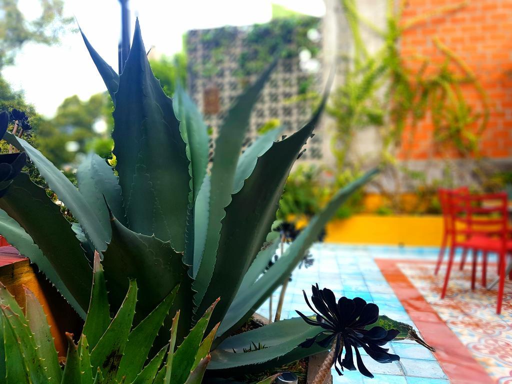 墨西哥城La Querencia Df住宿加早餐旅馆 外观 照片